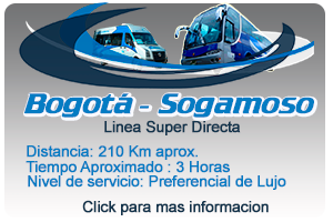 Bog-sog
