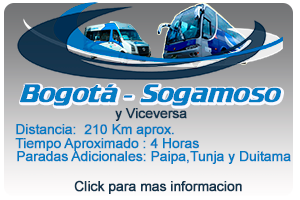 bog-sog2