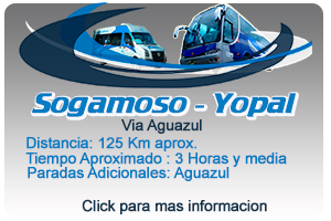 sog-ypl